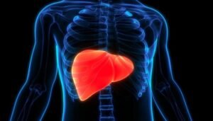 fatty-liver-1024x585-1.jpg