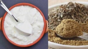 curd-and-jeera.jpg