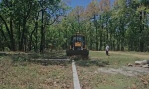 Bulldozers.jpg