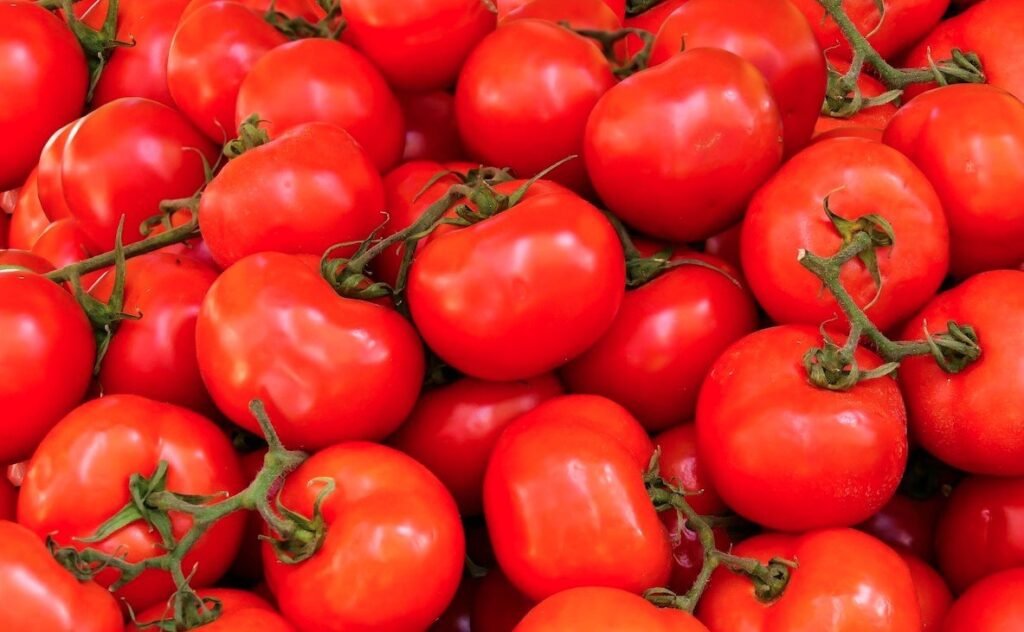 tomato.jpg