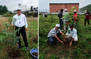 tree-plantation.jpg