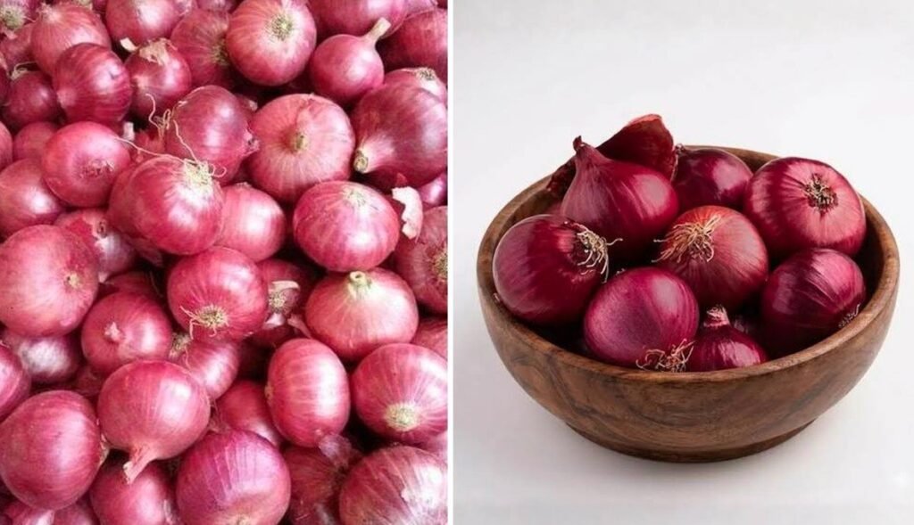 onion.jpg